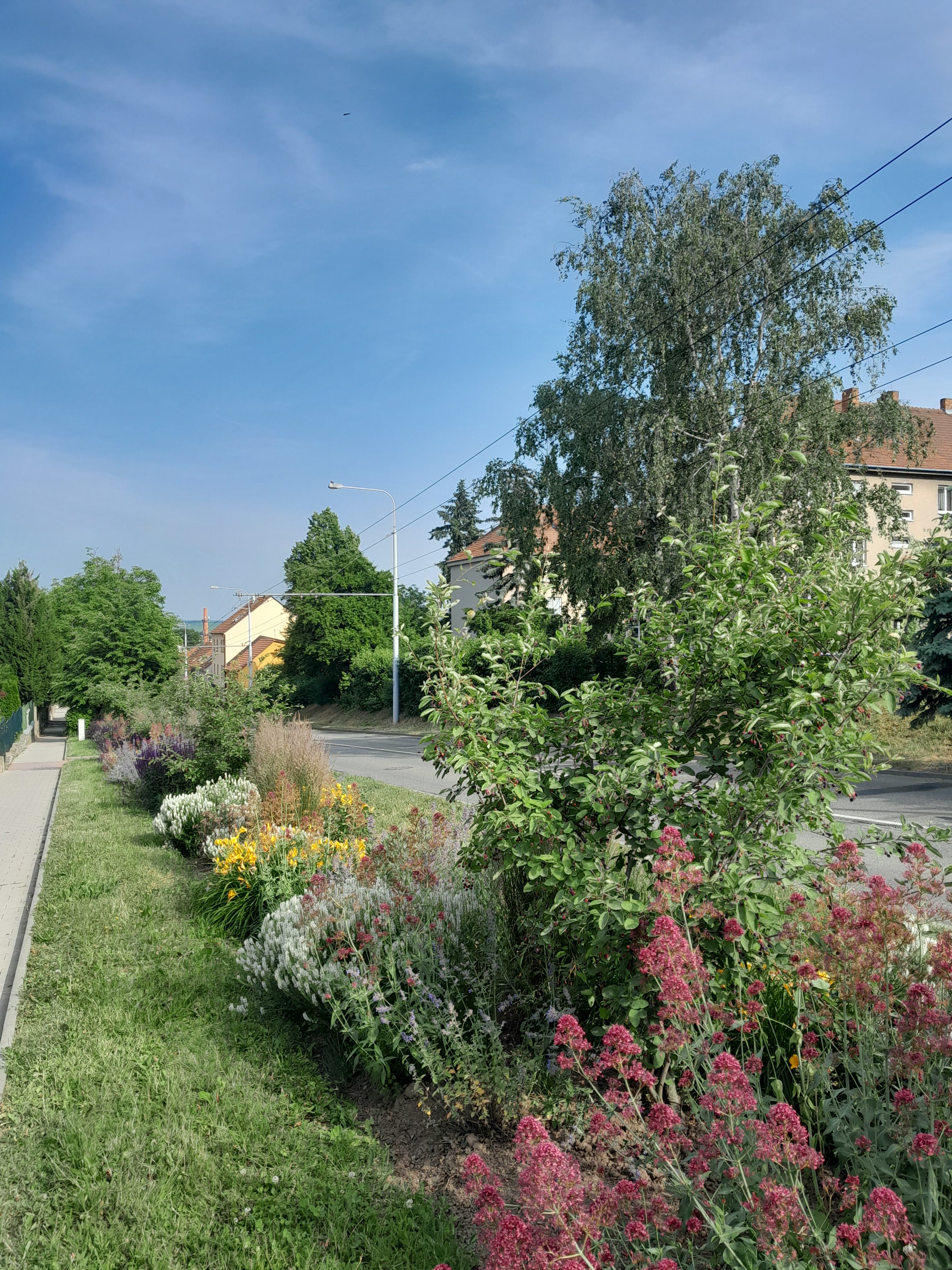 šlapanice